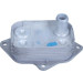 Ölkühler, Motor“L | 31807 Ölkühler, Motor“L | 31807