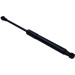 Gasfeder, Motorhaube | 225691 Gasfeder, Motorhaube | 225691