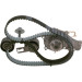 Zahnriemen-/Pumpenset | CITROEN C3,DS3,PEUGEOT,FORD 09 | 1987946947 Zahnriemen-/Pumpenset | CITROEN C3,DS3,PEUGEOT,FORD 09 | 1987946947