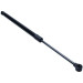 Gasfeder, Koffer-/Laderaum | 152642 Gasfeder, Koffer-/Laderaum | 152642
