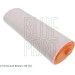 BLUE PRINT Luftfilter | ADB112201 BLUE PRINT Luftfilter | ADB112201