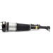 Arnott Luftfederbein VA li | MERCEDES CL 4Matic,S 4Matic 06 | AS-2853 Arnott Luftfederbein VA li | MERCEDES CL 4Matic,S 4Matic 06 | AS-2853
