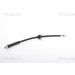 Bremsschlauch | 815016305 Bremsschlauch | 815016305