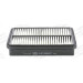 CHAMPION Luftfilter | CAF100843P