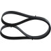 1 987 946 251 Keilrippenriemen 1 987 946 251 Keilrippenriemen