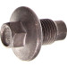 DRM01356 Verschlussschraube, Ölwanne