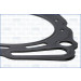 10130900 Dichtung, Zylinderkopf MULTILAYER STEEL