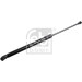 Gasfeder, Koffer-/Laderaum | 23388 Gasfeder, Koffer-/Laderaum | 23388