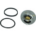 Thermostat, Kühlmittel | 67-0090 Thermostat, Kühlmittel | 67-0090