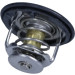 Thermostat, Kühlmittel | 352317100500 Thermostat, Kühlmittel | 352317100500
