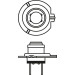 BOSCH | Glühlampe | 1 987 301 426 BOSCH | Glühlampe | 1 987 301 426