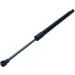 Gasfeder, Koffer-/Laderaum | 172365 Gasfeder, Koffer-/Laderaum | 172365
