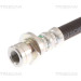 Bremsschlauch | 815040174 Bremsschlauch | 815040174
