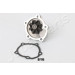 Wasserpumpe | PQ-816 Wasserpumpe | PQ-816