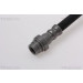 Bremsschlauch | 815016274 Bremsschlauch | 815016274