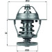 Thermostateinsatz mit Dichtung | FORD,CIT Mondeo,Jumper,Boxer D | TX 68 88D Thermostateinsatz mit Dichtung | FORD,CIT Mondeo,Jumper,Boxer D | TX 68 88D