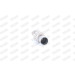 Flexrohr mit Rohr | DM 42 L 272mm Flex 158mm | 10396 Flexrohr mit Rohr | DM 42 L 272mm Flex 158mm | 10396
