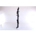 Wasserkühler PKW | NISSAN Qashqai 1,6i 07 | 67364