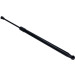 Gasfeder, Koffer-/Laderaum | 156660 Gasfeder, Koffer-/Laderaum | 156660