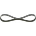 Keilrippenriemen FORD Fiesta Elastic 1987946141
