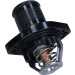 Thermostat, Kühlmittel | 352317101030 Thermostat, Kühlmittel | 352317101030