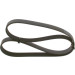 Keilrippenriemen | VW,HONDA,FORD,MERCEDES | 1987947995 Keilrippenriemen | VW,HONDA,FORD,MERCEDES | 1987947995