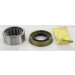 Radlagersatz | 853016268 Radlagersatz | 853016268