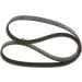 Keilrippenriemen | OPEL,FIAT,LANCIA,MITSUBISHI | 1987947917 Keilrippenriemen | OPEL,FIAT,LANCIA,MITSUBISHI | 1987947917