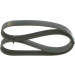 Keilrippenriemen | RENAULT,BMW | 1987946248 Keilrippenriemen | RENAULT,BMW | 1987946248