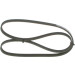 Keilrippenriemen | RENAULT,TOYOTA | 1987946008 Keilrippenriemen | RENAULT,TOYOTA | 1987946008