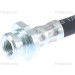 Bremsschlauch | 815025304 Bremsschlauch | 815025304