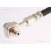 Bremsschlauch | 815021109 Bremsschlauch | 815021109