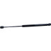 Gasfeder, Hinten L=420.5 450N | HYUNDAI i20 12/08 | 952449 Gasfeder, Hinten L=420.5 450N | HYUNDAI i20 12/08 | 952449