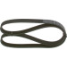 Keilrippenriemen | AUDI,SEAT,SKODA,VW | 1987948381 Keilrippenriemen | AUDI,SEAT,SKODA,VW | 1987948381