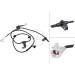 A.B.S. ABS Sensor | 31333 A.B.S. ABS Sensor | 31333