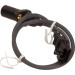 Impulsgeber, Kurbelwelle | 81199 Impulsgeber, Kurbelwelle | 81199