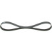 1 987 946 125 Keilrippenriemen Elastic 1 987 946 125 Keilrippenriemen Elastic