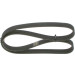 1 987 946 054 Keilrippenriemen