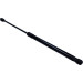Gasfeder, Koffer-/Laderaum | 128902 Gasfeder, Koffer-/Laderaum | 128902