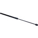 Gasfeder, Hinten L=543.5 460N | AUDI A3 1.6 TDI 13 | 389104 Gasfeder, Hinten L=543.5 460N | AUDI A3 1.6 TDI 13 | 389104