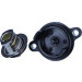 Thermostat, Kühlmittel | TH7334.50J