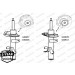 MONROE ORIGINAL VL | FORD Kuga 14 | G8808 MONROE ORIGINAL VL | FORD Kuga 14 | G8808