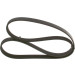 1 987 946 063 Keilrippenriemen