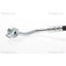 Bremsschlauch | 815016113 Bremsschlauch | 815016113