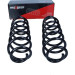 Fahrwerksfeder | 60-0977D Fahrwerksfeder | 60-0977D