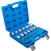 BGS Steckschlüssel-Einsatz-Satz Sechskant | Antriebe Innenvierkant 6,3 mm (1/4""""), 12,5 mm (1/2"""") | Zollmaße | 24-tlg | 2246 BGS Steckschlüssel-Einsatz-Satz Sechskant | Antriebe Innenvierkant 6,3 mm (1/4""""), 12,5 mm (1/2"""") | Zollmaße | 24-tlg | 2246