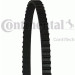Zahnriemen | CT1143 Zahnriemen | CT1143