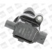 BorgWarner (BERU) Zündspule ZS429