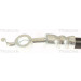 Bremsschlauch | 815013254 Bremsschlauch | 815013254