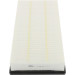 CHAMPION Luftfilter CAF100808P CHAMPION Luftfilter CAF100808P
